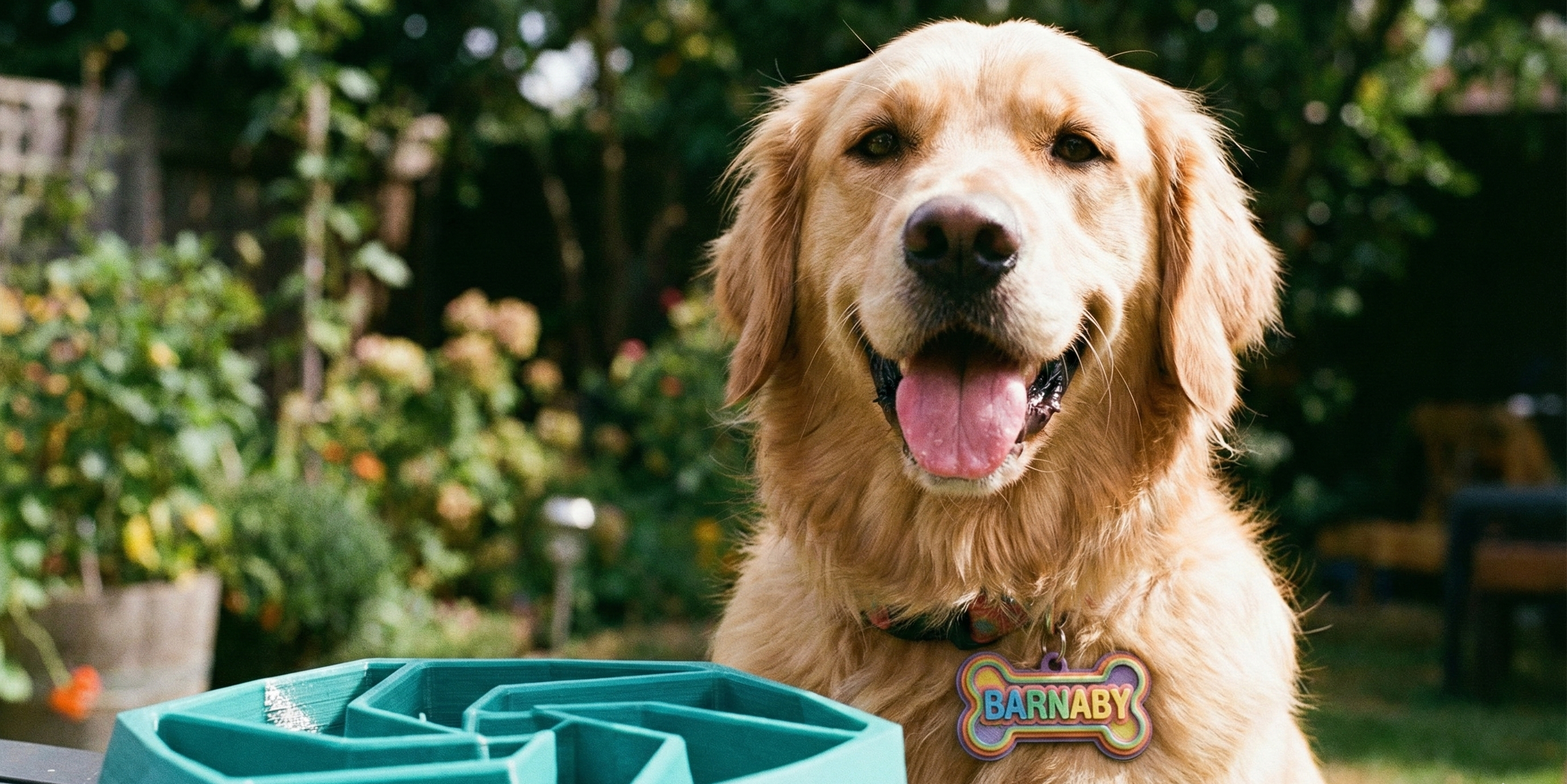 Patili Dostlarınıza Özel Jestler: En Sevilen 3D Baskı Evcil Hayvan Ürünleri